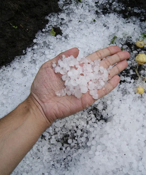 Hagelkörner in einer Hand